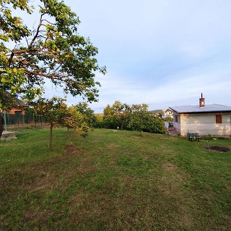Villa Wine House Znojmo Exterior foto